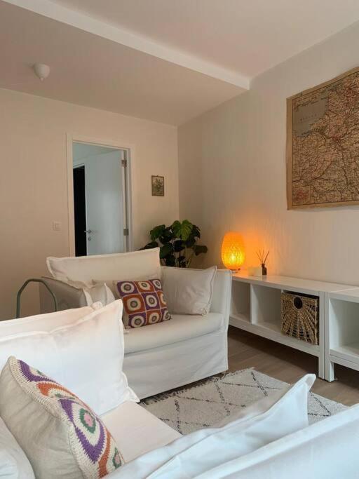 Cozy Studio In Centre Of Old Town Antwerpia Zewnętrze zdjęcie